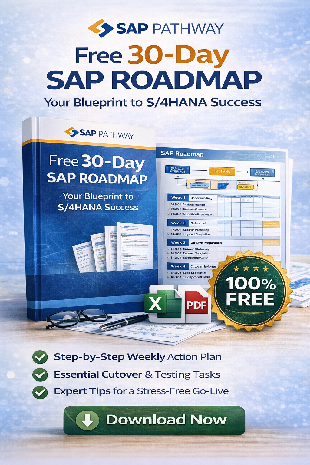 Free 30-Day SAP Roadmap